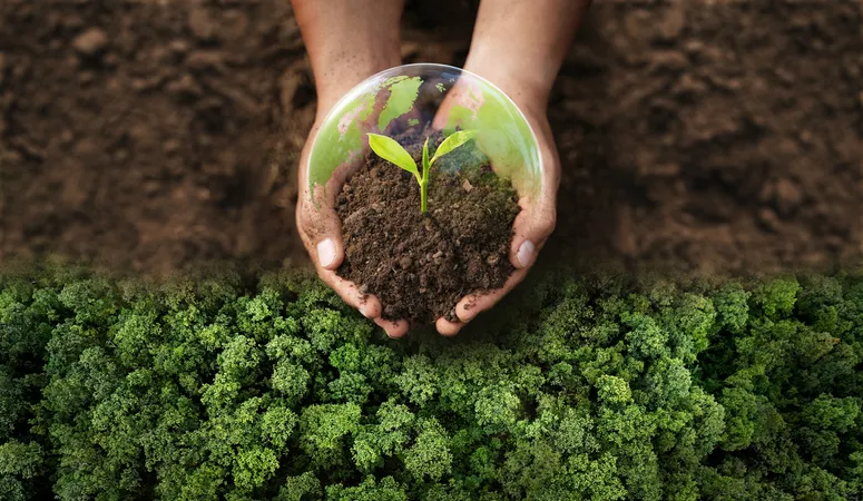 Sürdürülebilirlik hedefleri